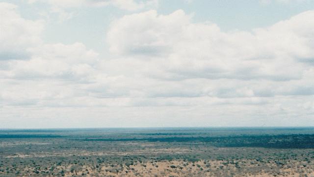 �ｽ繧托ｽｽ�ｩ2025 Yuko Yamamoto / Uguisu Production 